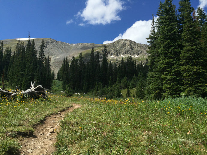 Colorado Trail Part 4